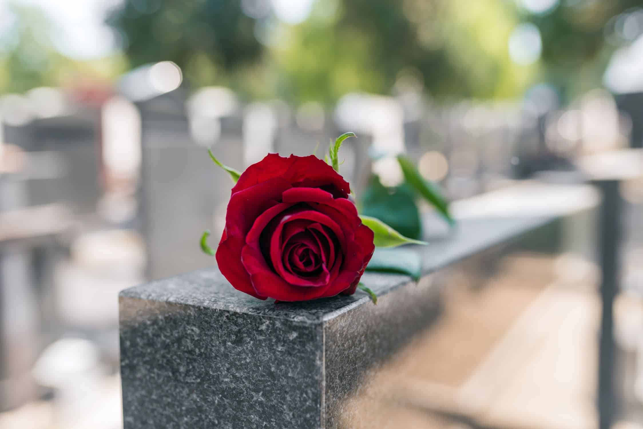 Rose On Tomb Stone — Funerals in Sarina, QLD
