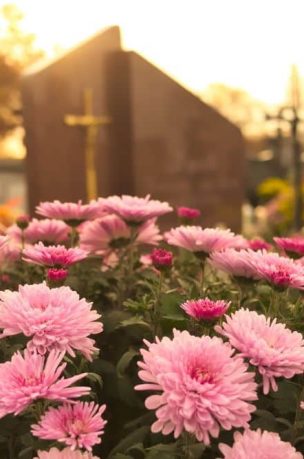 Pink Flower — Funerals in Sarina, QLD